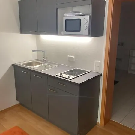 Schoene Einliegerwohnung Mit Freisitz. Ideal Fuer Geschaeftsleute Und Reisende Apartament Laufenburg
