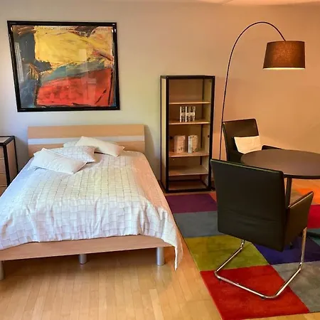 Schoene Einliegerwohnung Mit Freisitz. Ideal Fuer Geschaeftsleute Und Reisende Apartament Laufenburg